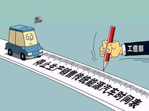 这次换我先回头 2025,回顾与前瞻，共筑未来新篇章